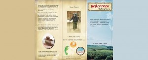 WolfTrek Walking Tours