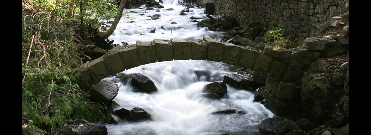 Limehouse mill Ontario