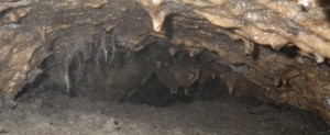 Tooth Tube Cave