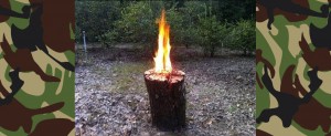 Swedish Fire Log