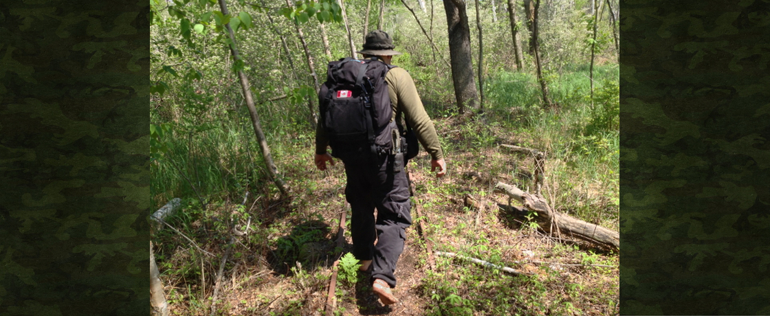 Wainfleet Bog Walk