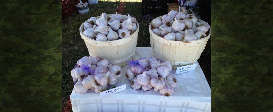 Niagara Garlic Festival