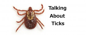 Tick Talk