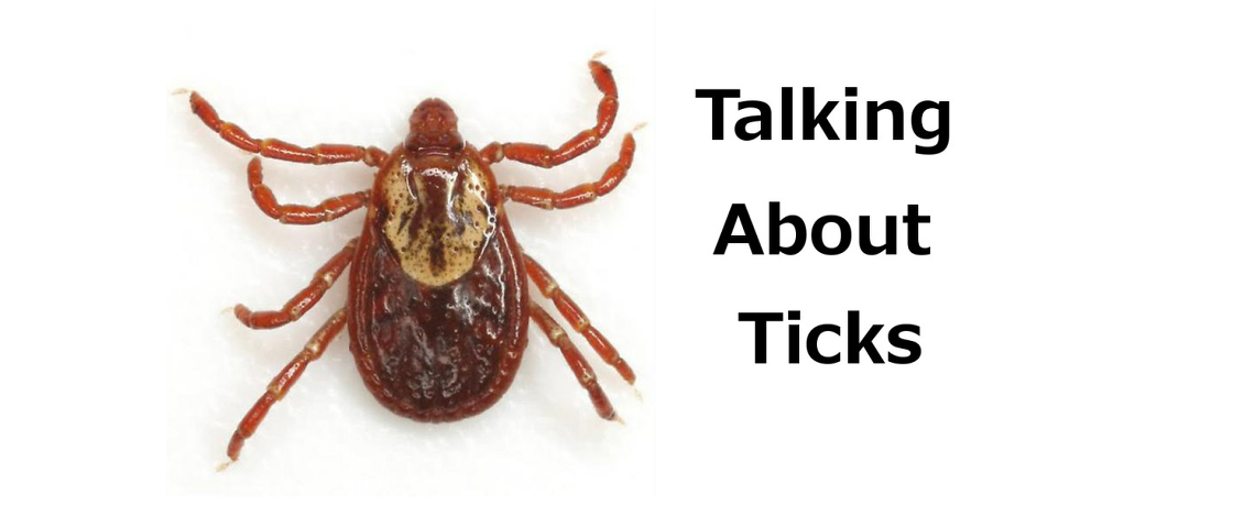 Dealing with Ticks