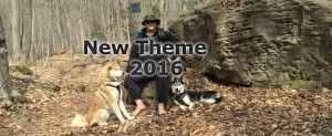 New Theme 2016