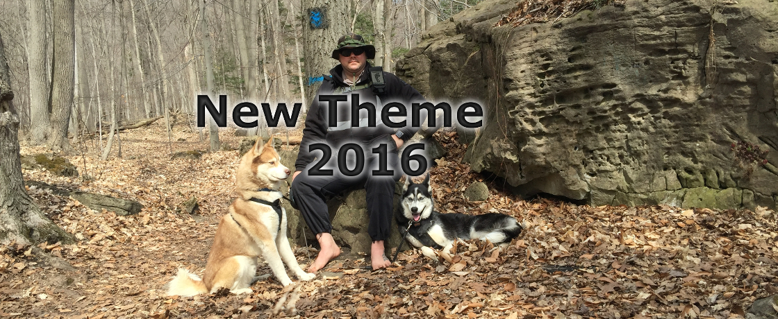 New theme of 2016