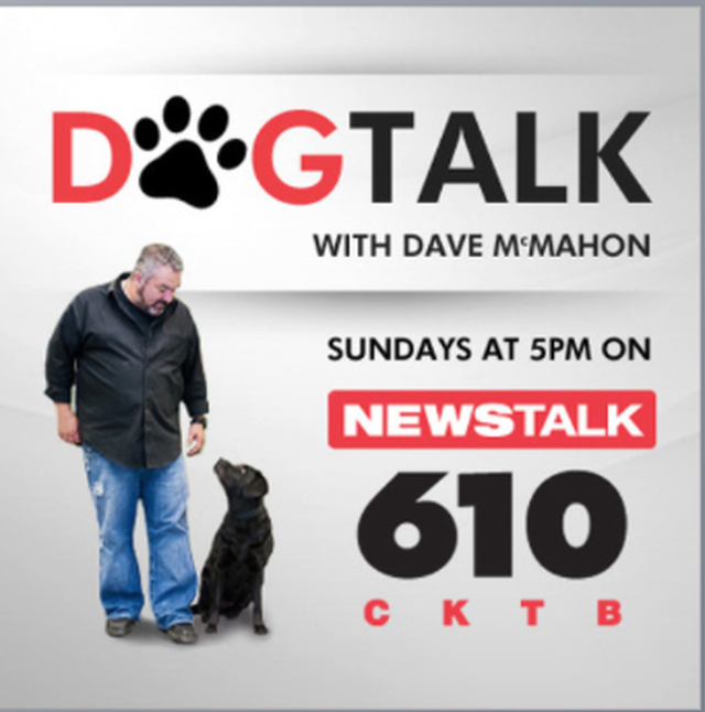 Dog Talk Radio