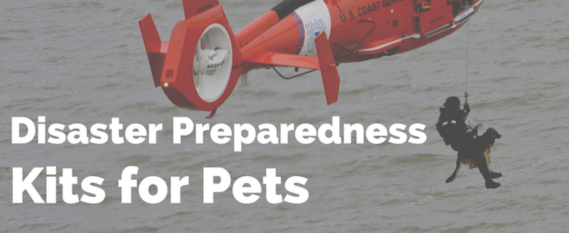 Pet Disaster Preparedness