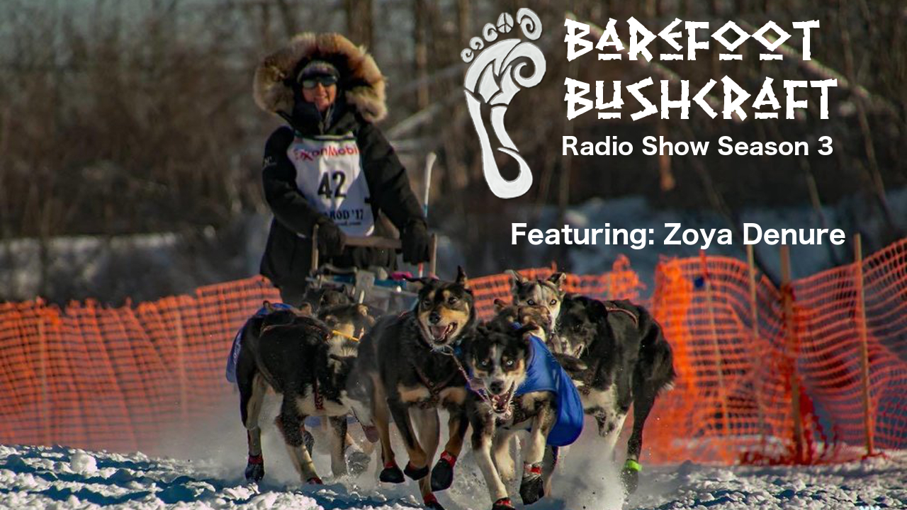 Season 3 Episode 3 – Barefoot Bushcraft Radio Show