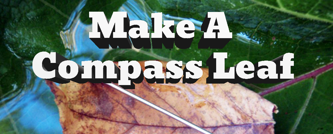 Make A Leaf Compass