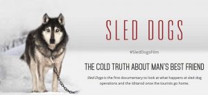 sled-dogs-film-screening