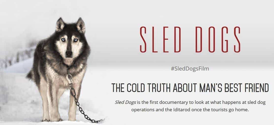 Sled Dog Film (2017)