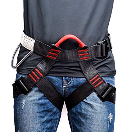 Climbing Harness