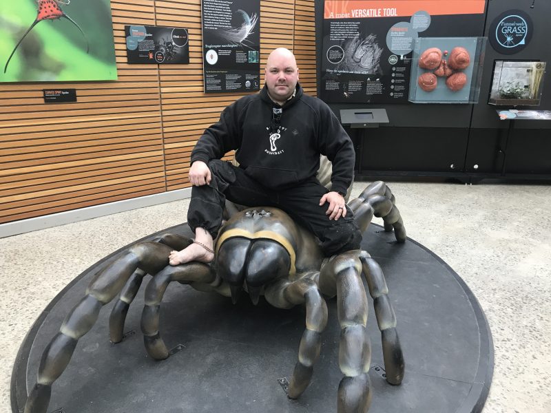 Wolfmaan on a Trap Door Spider