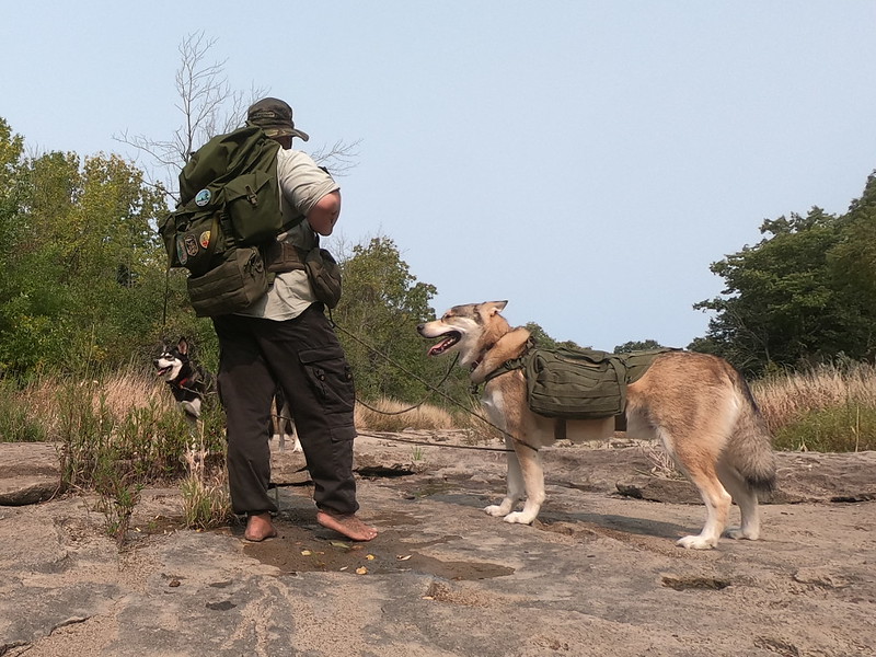 Hiking with a dog pack