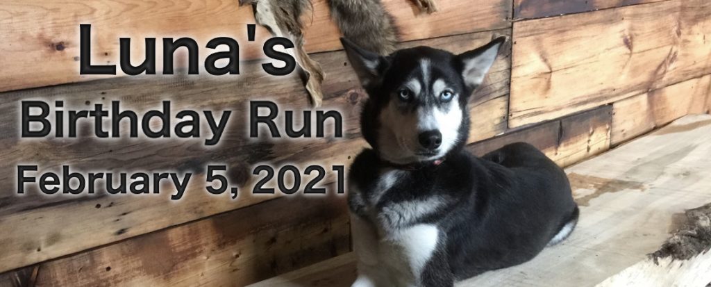 Luna’s Birthday Run 2021