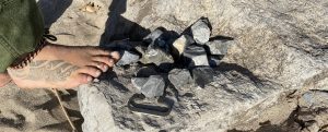 Finding Chert on the Beach